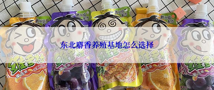 东北麝香养殖基地怎么选择