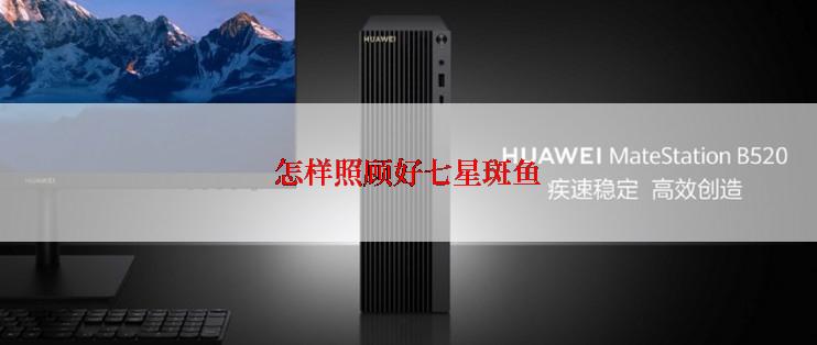 怎样照顾好七星斑鱼