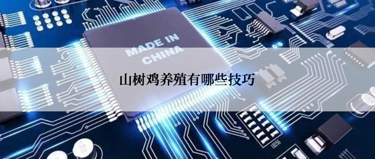 山树鸡养殖有哪些技巧