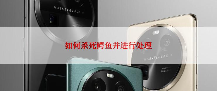 如何杀死鳄鱼并进行处理