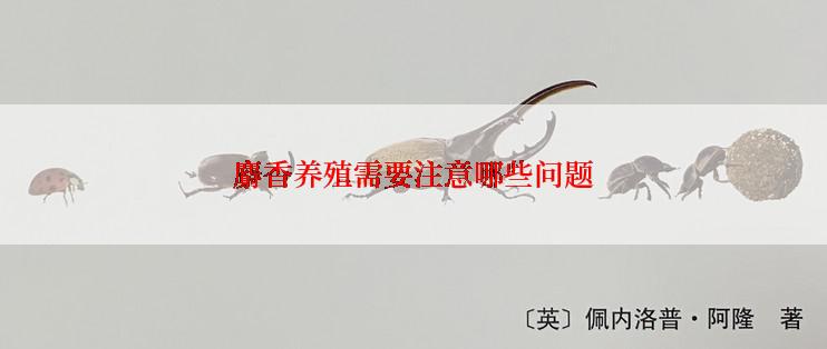 麝香养殖需要注意哪些问题