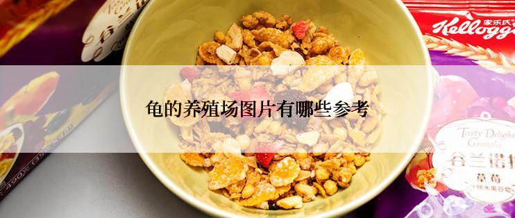 龟的养殖场图片有哪些参考