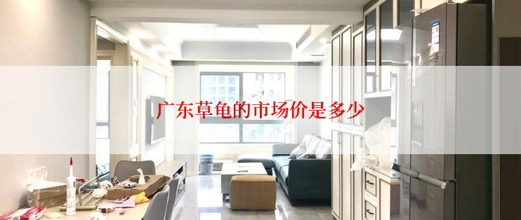 广东草龟的市场价是多少