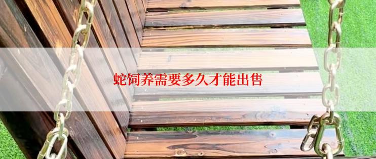 蛇饲养需要多久才能出售