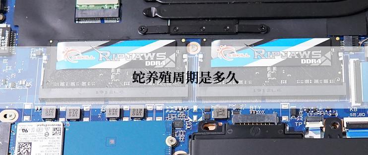  蛇养殖周期是多久