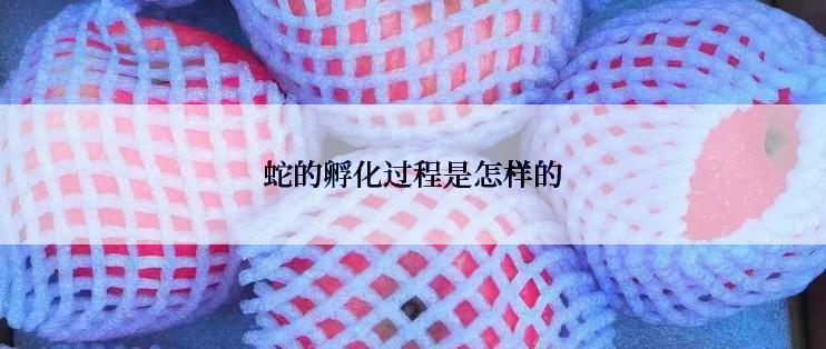蛇的孵化过程是怎样的
