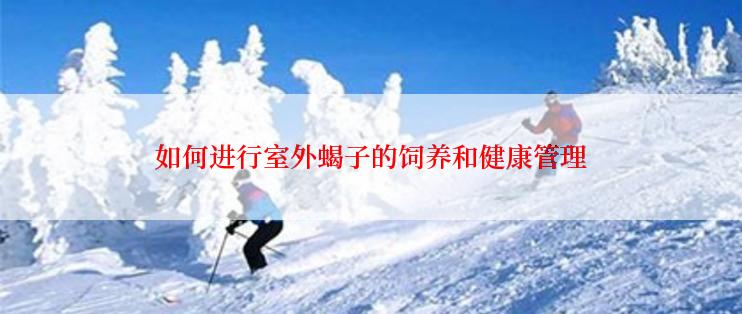 如何进行室外蝎子的饲养和健康管理