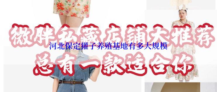 河北保定獾子养殖基地有多大规模