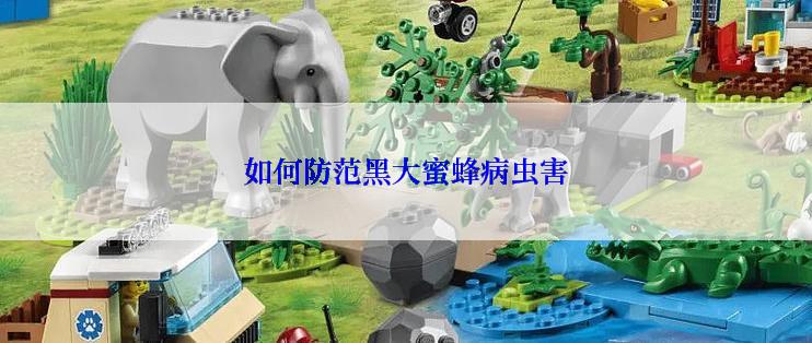 如何防范黑大蜜蜂病虫害