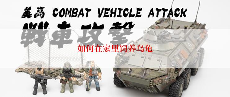 如何在家里饲养乌龟