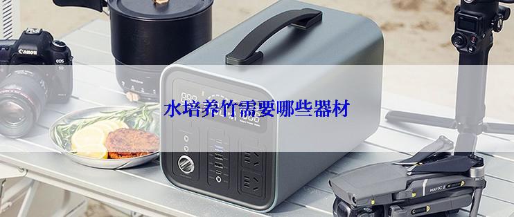 水培养竹需要哪些器材