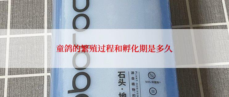 童鸽的繁殖过程和孵化期是多久