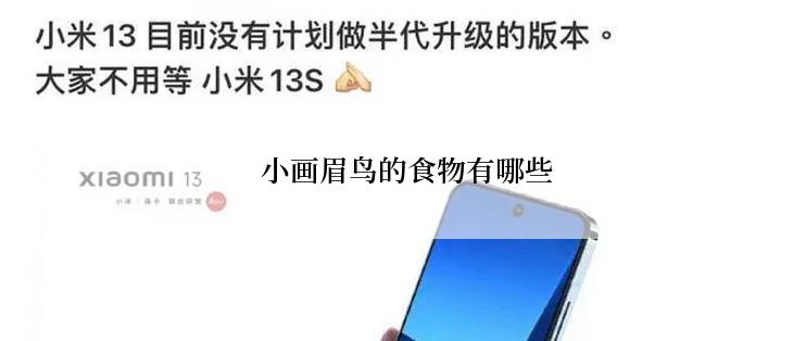  小画眉鸟的食物有哪些