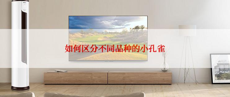 如何区分不同品种的小孔雀