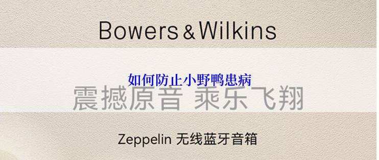 如何防止小野鸭患病