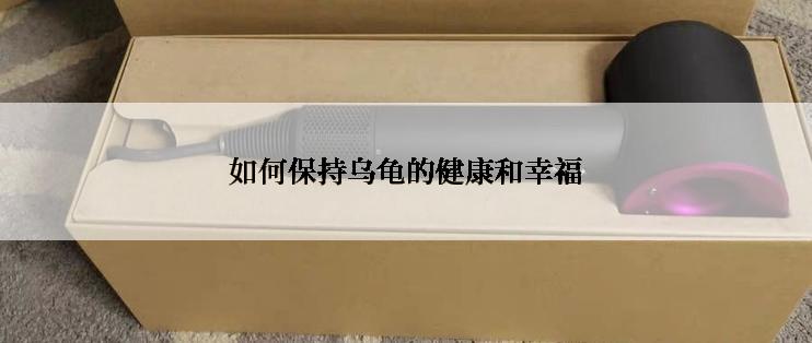 如何保持乌龟的健康和幸福