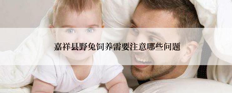  嘉祥县野兔饲养需要注意哪些问题