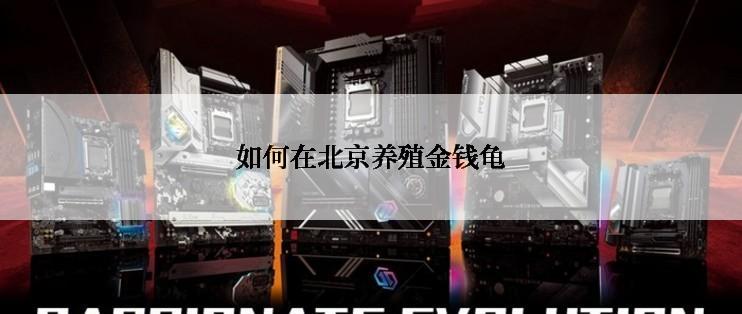 如何在北京养殖金钱龟