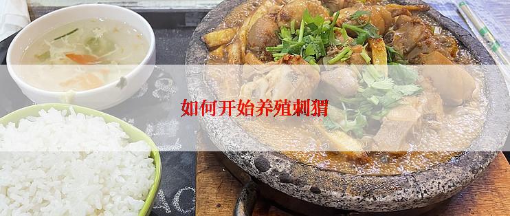 如何开始养殖刺猬