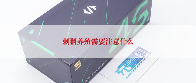 刺猬养殖需要注意什么