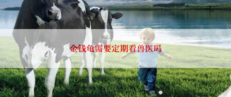 金钱龟需要定期看兽医吗