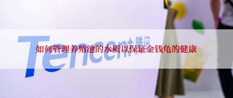 如何管理养殖池的水质以保证金钱龟的健康