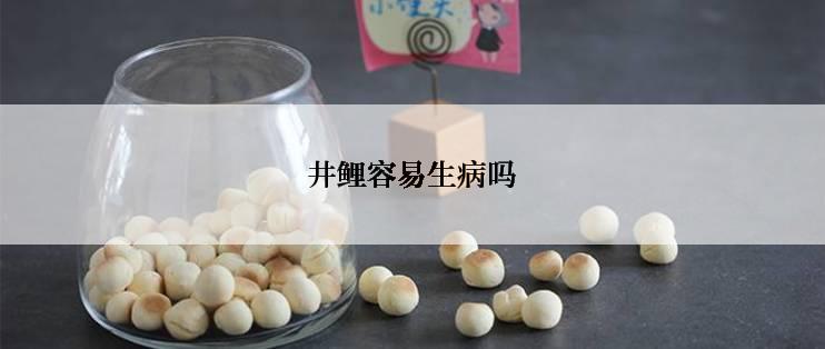 井鲤容易生病吗