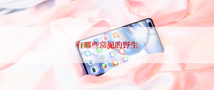 有哪些常见的野生