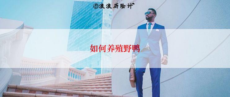 如何养殖野鸭