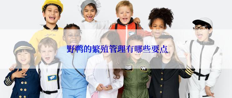  野鸭的繁殖管理有哪些要点