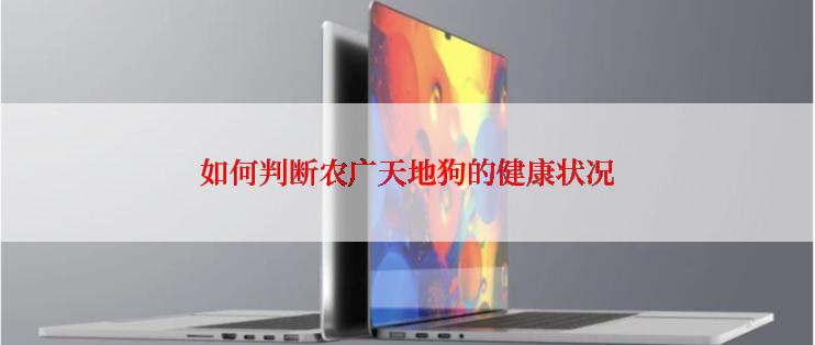 如何判断农广天地狗的健康状况