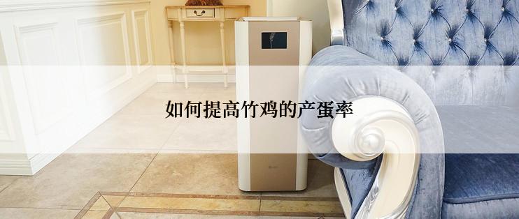 如何提高竹鸡的产蛋率