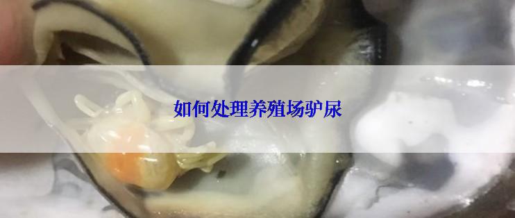如何处理养殖场驴尿