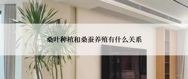 桑叶种植和桑蚕养殖有什么关系