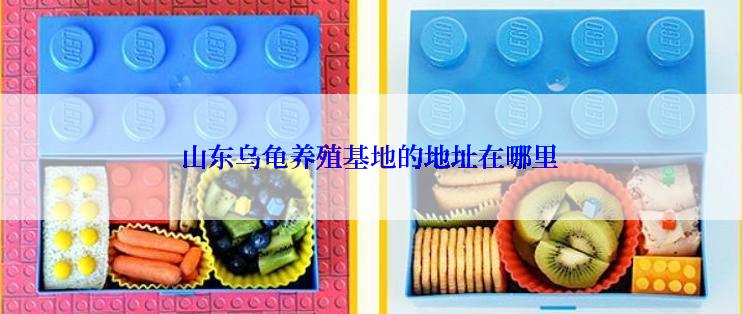 山东乌龟养殖基地的地址在哪里