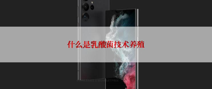 什么是乳酸菌技术养殖