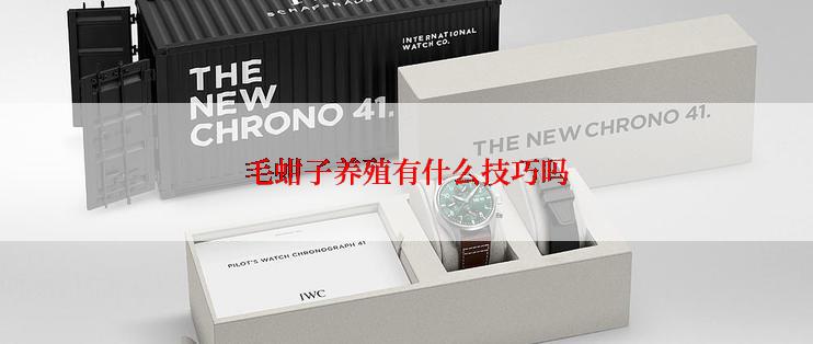 毛蚶子养殖有什么技巧吗