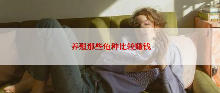  养殖那些龟种比较赚钱