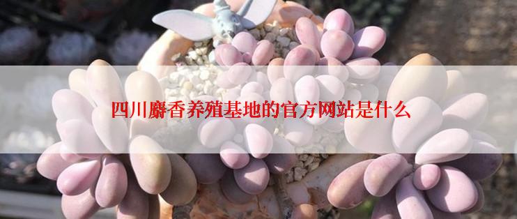  四川麝香养殖基地的官方网站是什么