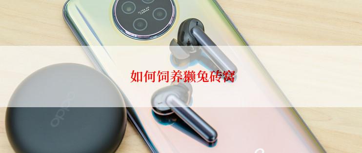  如何饲养獭兔砖窝