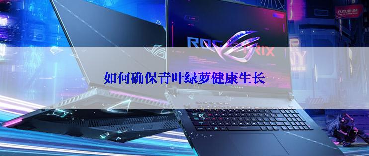 如何确保青叶绿萝健康生长