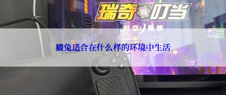 獭兔适合在什么样的环境中生活