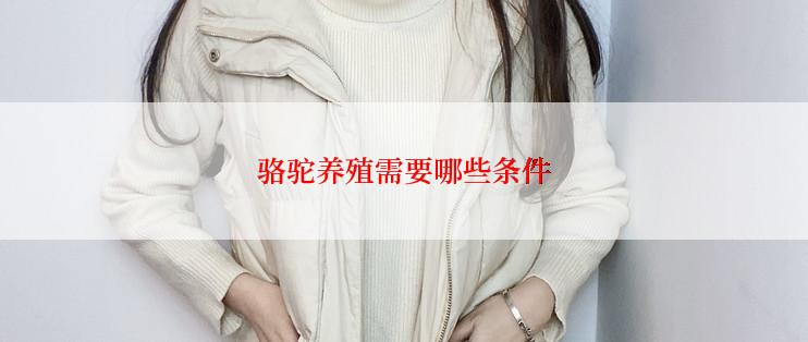 骆驼养殖需要哪些条件