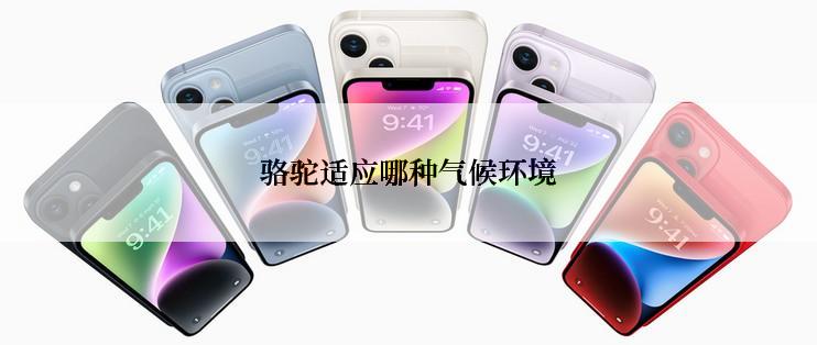 骆驼适应哪种气候环境