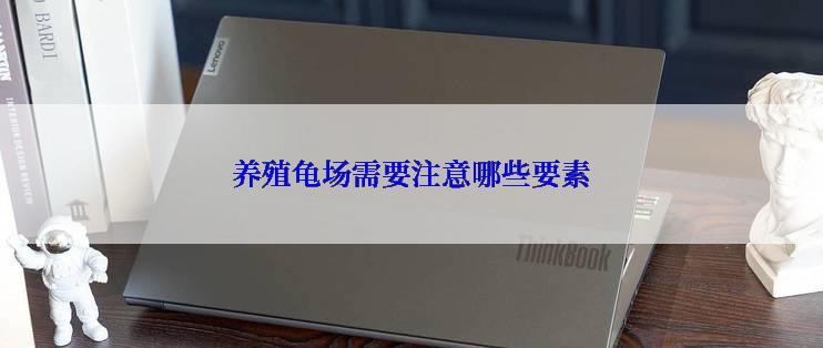 养殖龟场需要注意哪些要素