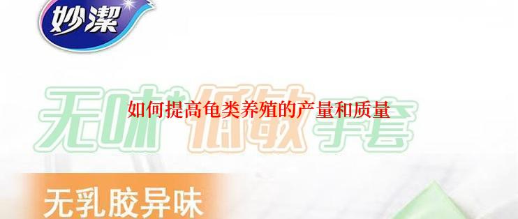 如何提高龟类养殖的产量和质量