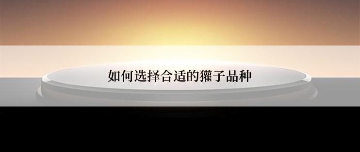 如何选择合适的獾子品种