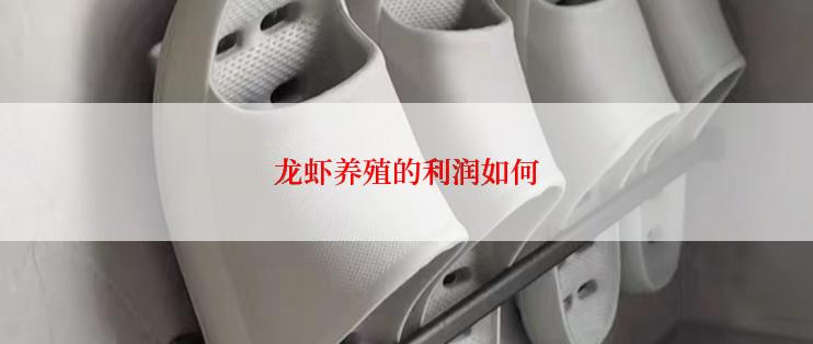 龙虾养殖的利润如何