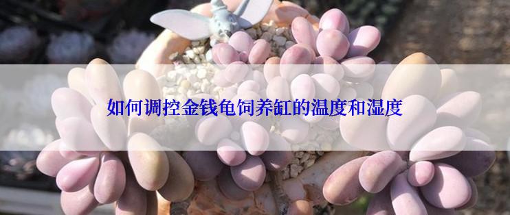 如何调控金钱龟饲养缸的温度和湿度