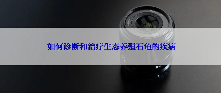  如何诊断和治疗生态养殖石龟的疾病